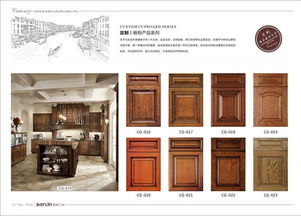 安徽實木門招商 柏林門業 產品畫冊展示系列